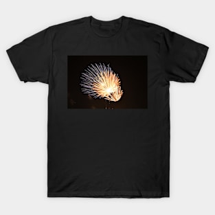 Fireworks T-Shirt